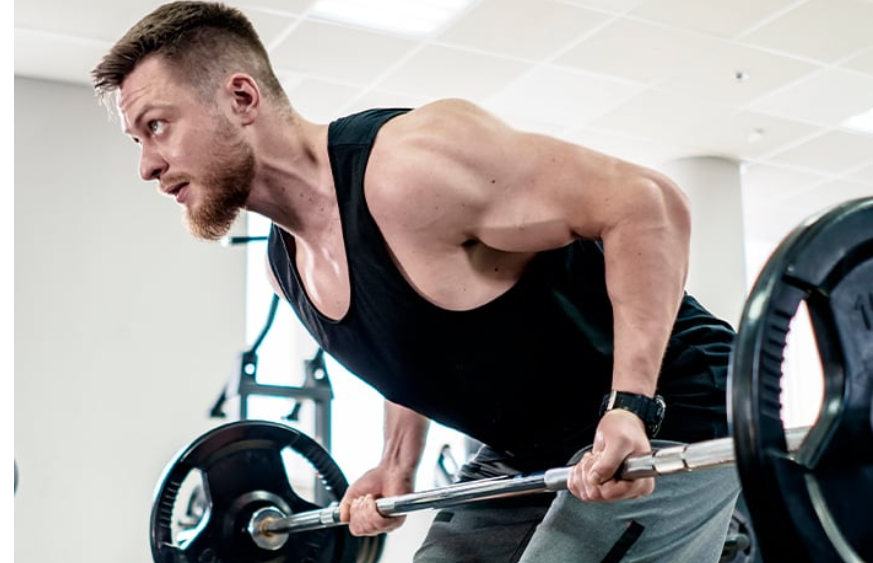 CREATINA MONOHIDRATADA Y MICRONIZADA EN POLVO.